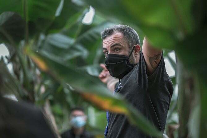 Visit to the Banana Growing Farm in Santa Cruz De Tenerife - Guided Tour Highlights