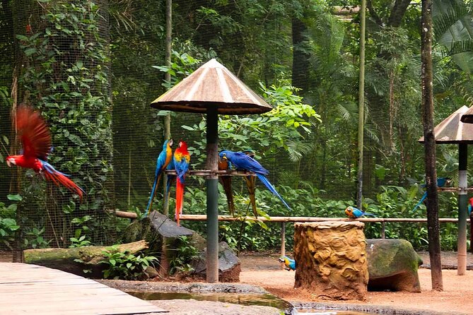 Visit to the Bird Park - Key Points