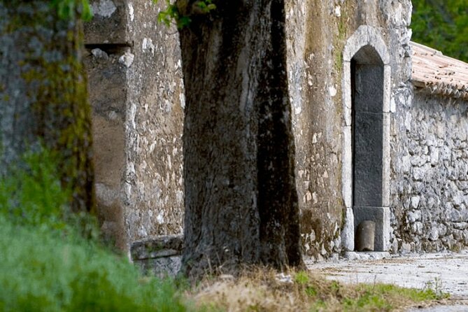 Visit to the Cellar at the Feudi Di San Gregorio Da Sorrento - Key Points