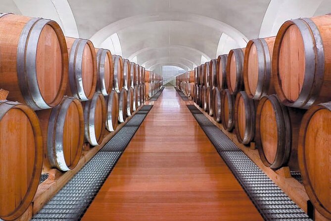 Visit to the Cellar at the Feudi Di San Gregorio Da Sorrento - Luxury Transport
