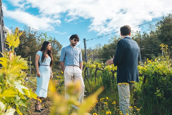 Visit to the Cellar With Wine & Food Tasting Over the Val Dorcia - Considerations for Pregnant Travelers
