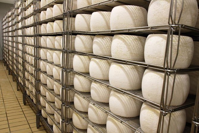 Visit to the Dairy - Companys Dairy Tradition and Innovation