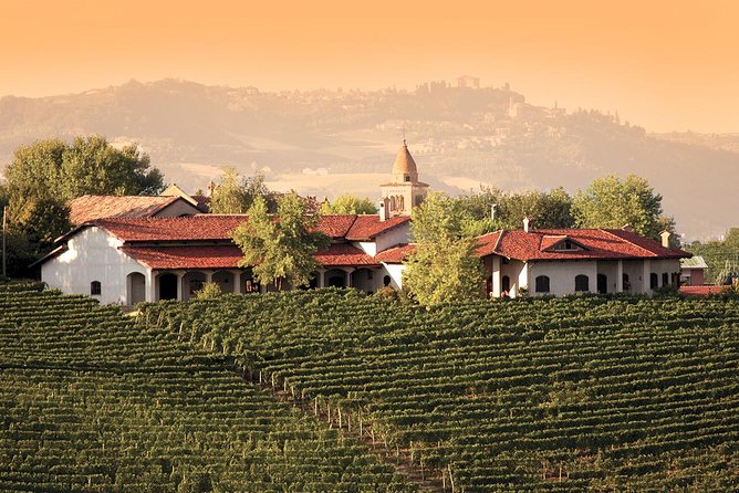 Visit to the Germano Winery With Lunch and Wine Tasting - Key Points