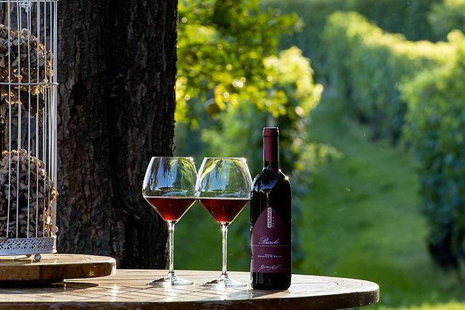 Visit to the Germano Winery With Lunch and Wine Tasting - Customer Support
