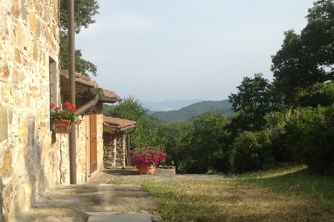 Visit to the Market and Cooking Lessons in a Tuscan Farmhouse - Guest Experiences and Reviews