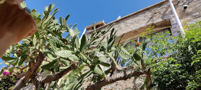 Visit to the Medieval Village of Èze in 1h30 - Tour Guide Certification