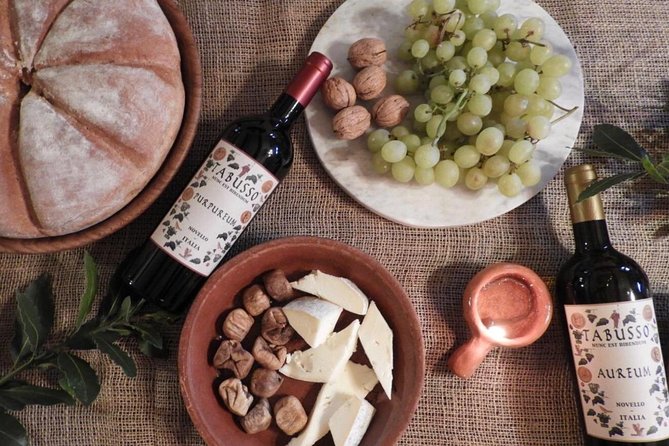 Visit to the Museum and Tasting of the Ancient Roman Wine - Customer Reviews Highlights
