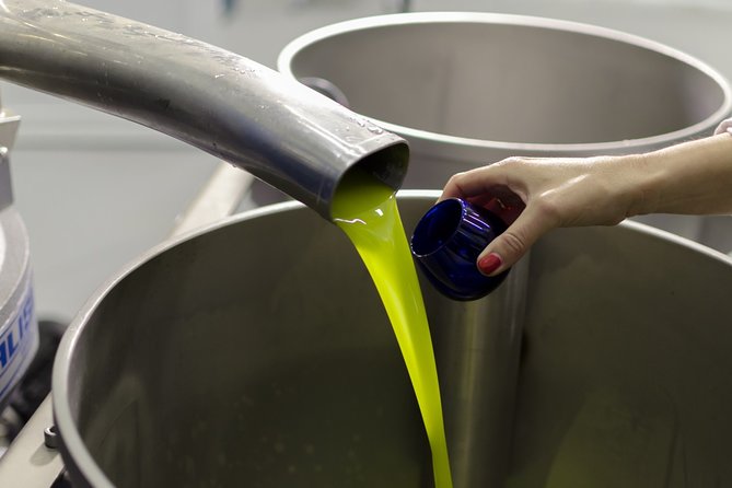 Visit to the Oil Mill With EVOO Experiences in Cuenca - Overview of the Tour