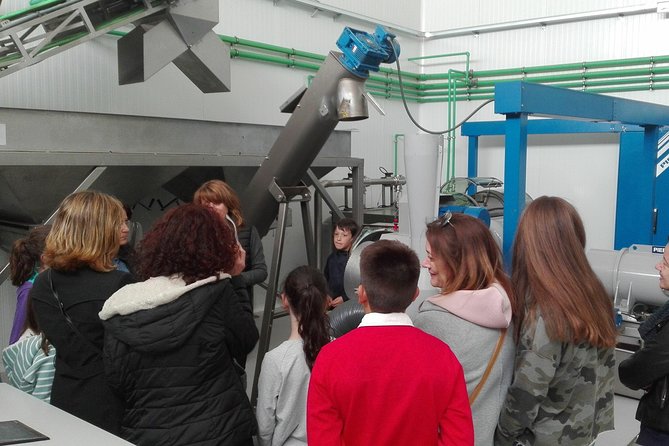 Visit to the Oil Mill With EVOO Experiences in Cuenca - Additional Tour Details
