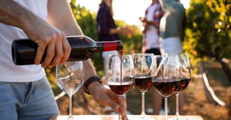 Visit to the Vineyard and Discovery of Bandol Wines - Key Points