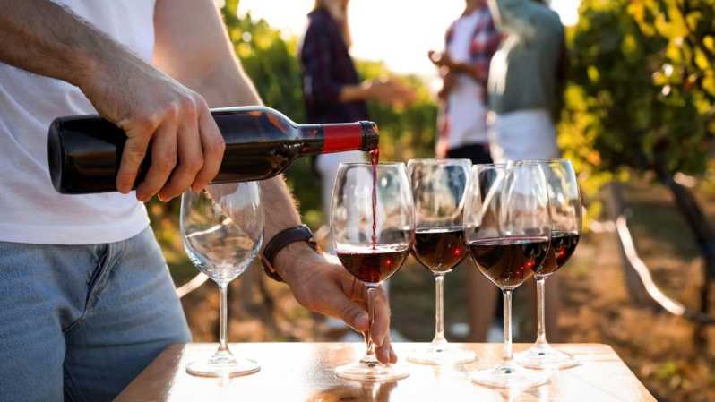 Visit to the Vineyard and Discovery of Bandol Wines - Transportation and Itinerary