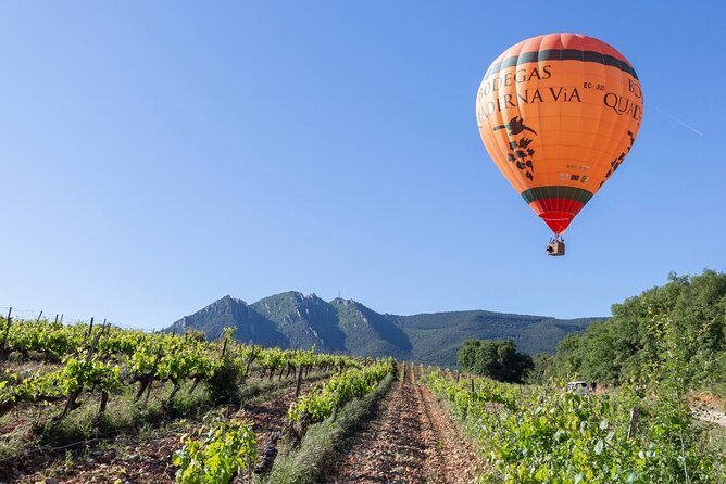 Visit to the Winery With Wine Tasting and Appetizers in Navarra - Confirmation and Payment