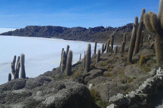 Visit to Uyuni Salt Flats From Sucre by Bus - Pricing and Inclusions
