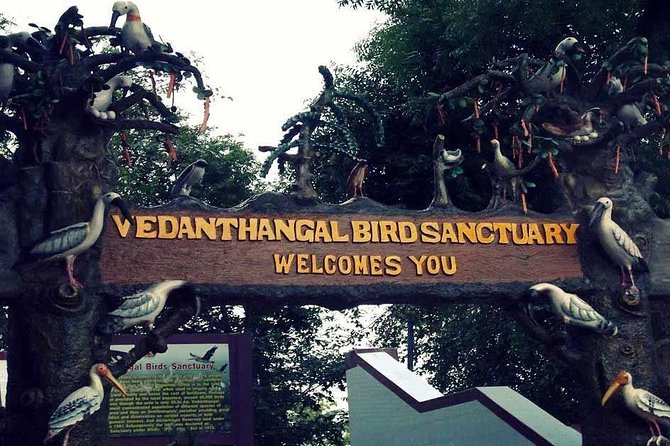 Visit to Vedanthangal Bird Sanctuary From Chennai - Tour Itinerary and Inclusions