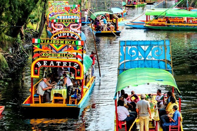Visit to Xochimilco, Coyoacán, and University City - Cultural Immersion