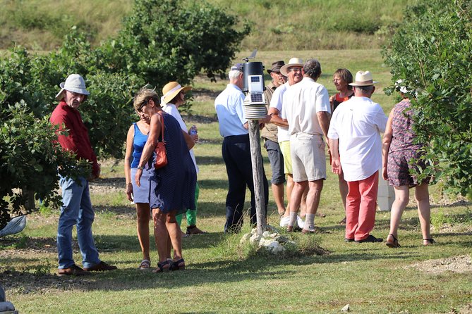 Visit Truffle Fields and Hunt With a Dog in All Seasons. - Suitability and Accessibility