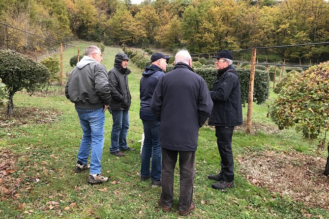 Visit Truffle Fields and Hunt With a Dog in All Seasons. - Educational Guided Tours