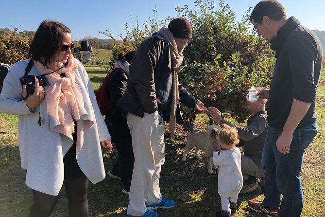 Visit Truffle Fields and Hunt With a Dog in All Seasons. - About Viator, Inc