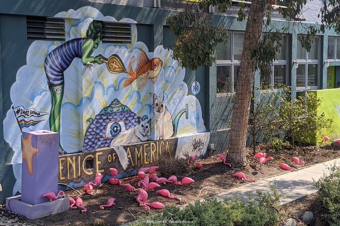 Visit Venice Beach Neighbourhood: Private 2-hour Walking Tour - Accessibility and Fitness