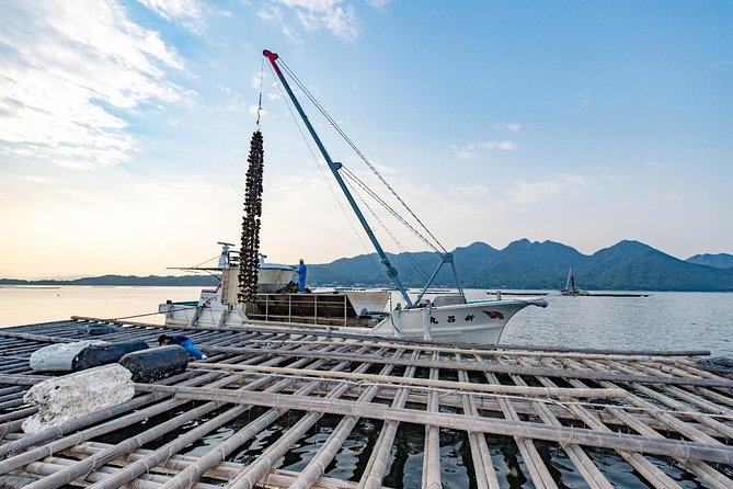 Visit World Heritage Site Itsukushima Shrine by Sea & Oyster Raft Tour - Convenient Meeting Point