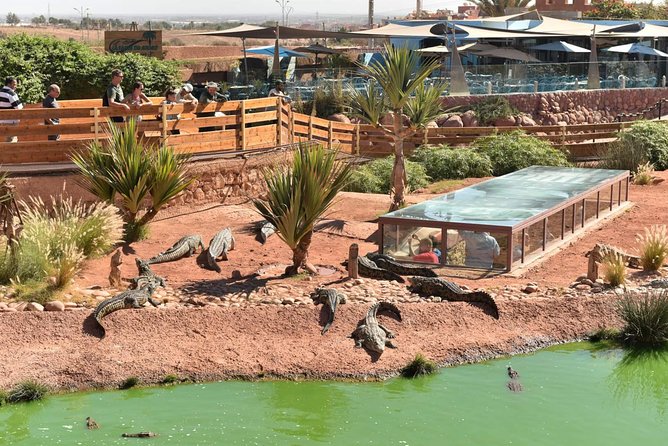 Visite the Crocodiles Park and Botanic Garden - Tour Experience and Highlights