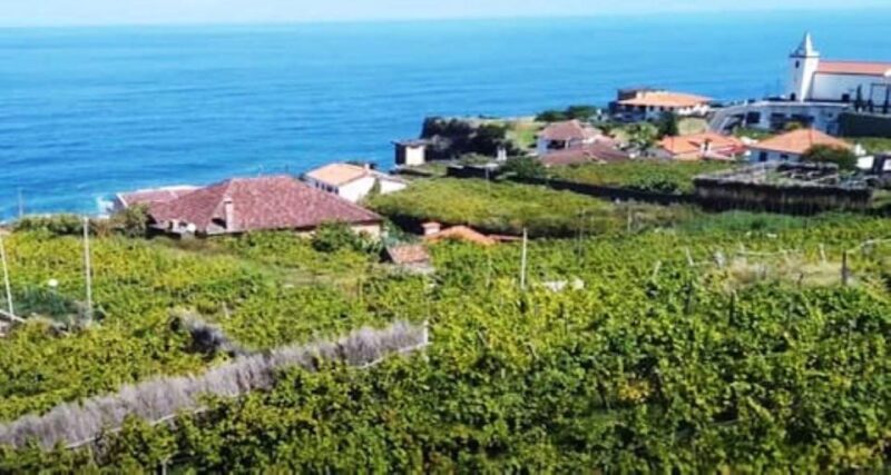 Visiting Local Vineyard With Wine Tasting & Lunch Included - Pickup and Drop-off Locations