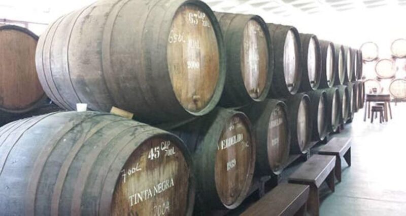 Visiting Local Vineyard With Wine Tasting & Lunch Included - Vineyard Exploration
