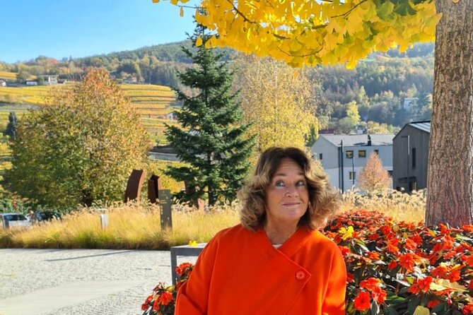 Visiting Piedmont in the Comfort of a Luxury Minivan - Booking and Cancellation Policy