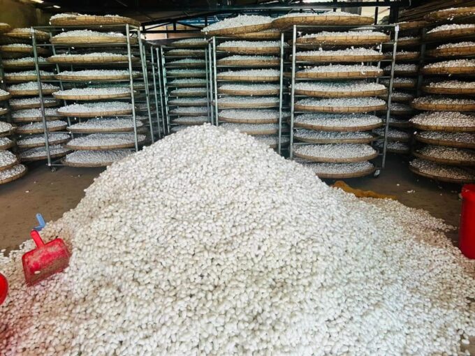 Visiting Silk Factory & Coffee - Vietnamese Silk Culture