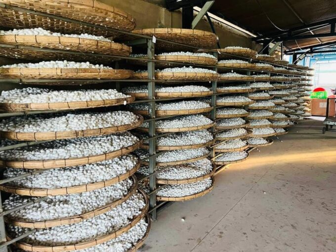 Visiting Silk Factory & Coffee - Frequently Asked Questions