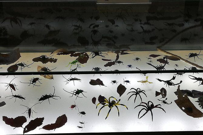 Visitors to Jeju Glass Museum and Experience - Booking and Confirmation Process