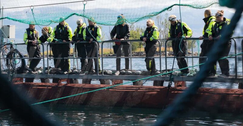 Vist a Fish Farm in Hardanger, Guided Tour, With Rib-Boat. - Key Points