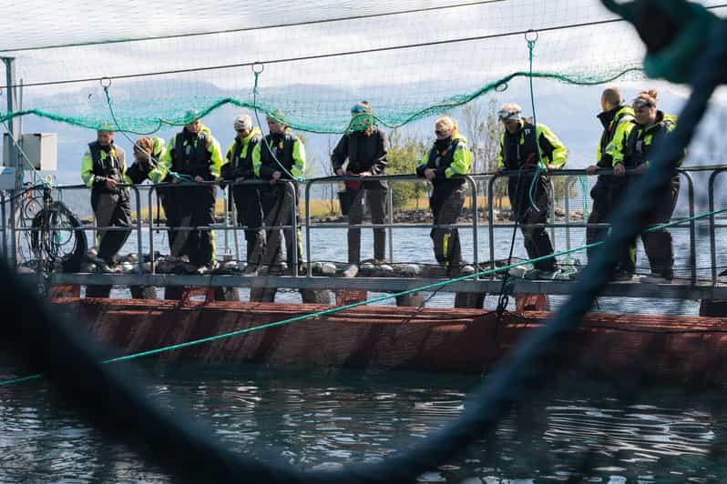 Vist a Fish Farm in Hardanger, Guided Tour, With Rib-Boat. - Tour Details
