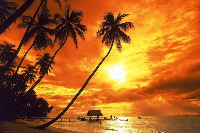 Vista Sol Punta - Round Trip Shuttle - Punta Cana Airport - Additional Information