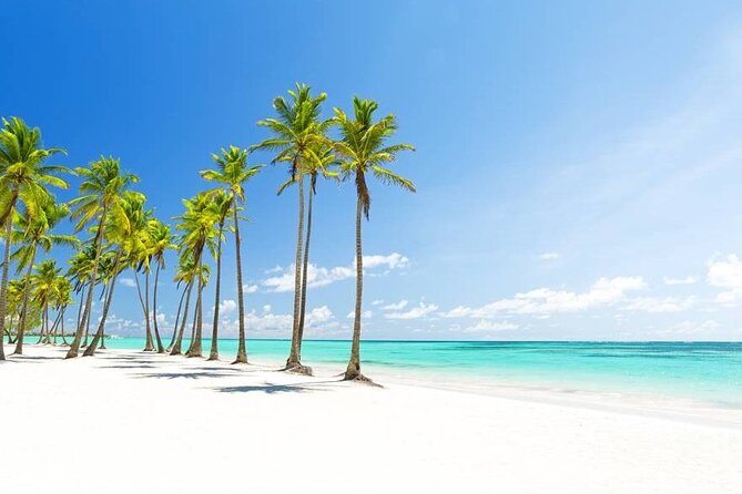 Vista Sol Punta - Round Trip Shuttle - Punta Cana Airport - Questions About Your Stay