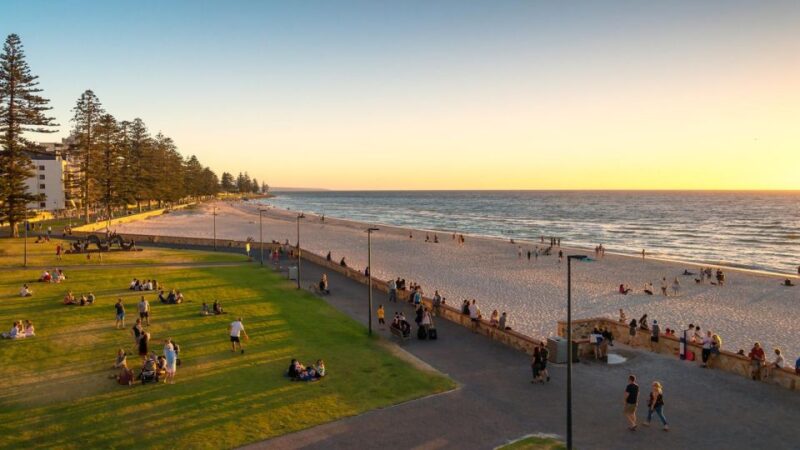 Vistas and Wines: Adelaide's Gems and Wine Private Tour - Panoramic Views From Mount Lofty