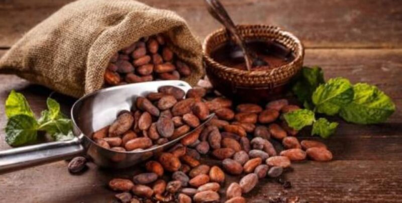 VITERBO: Coffee and Cacao Artisan Tour - Tour Itinerary