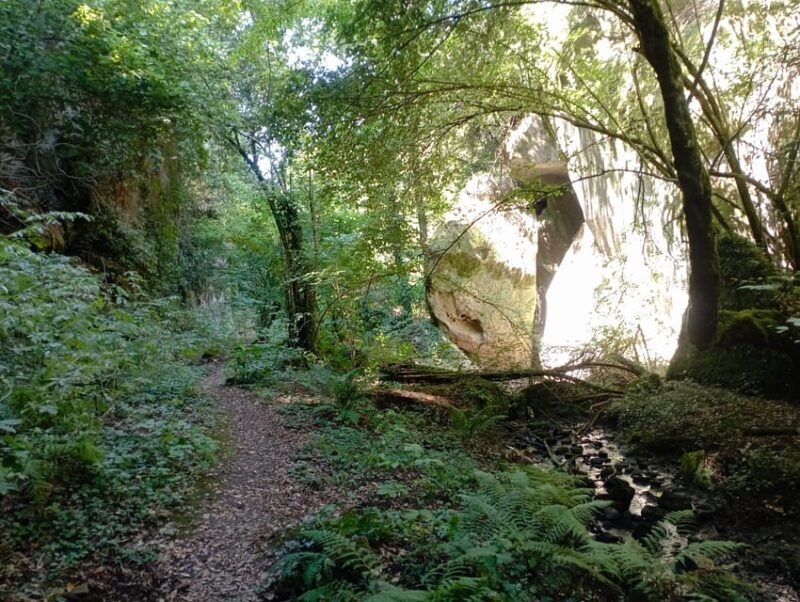Viterbo: Palanzana Mountain Hike & Natural Reserve - Overview of the Guided Hike