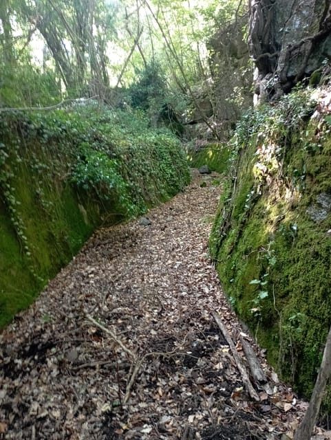 Viterbo: Palanzana Mountain Hike & Natural Reserve - Natural Features and Attractions