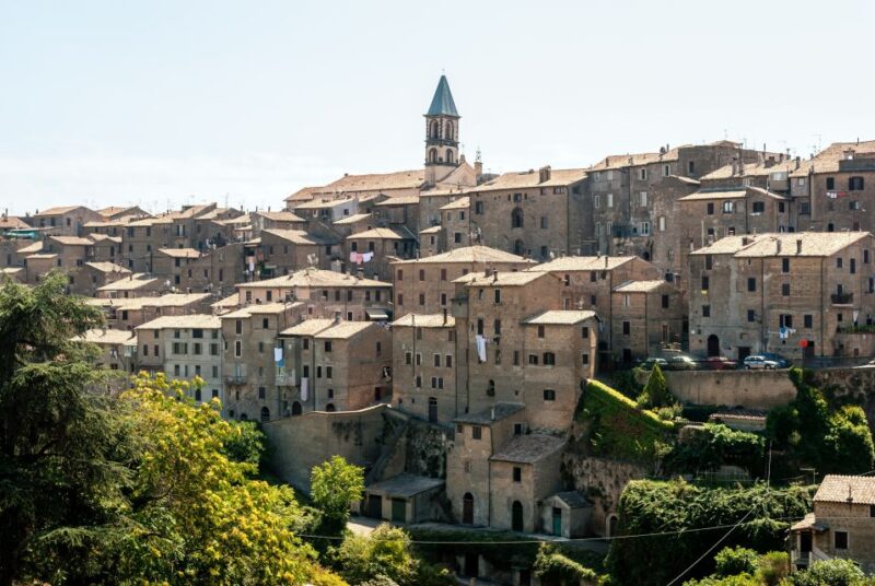 Viterbo: Private Walking Tour - Tour Experience and Highlights