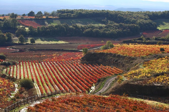 Vitoria and Añana Salt Valley Small Group Tour Lunch Included - Contact Information