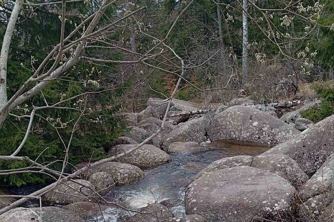 Vitosha Mountain- Heritage and Hiking- Private Day Trip - Physical Fitness Requirements