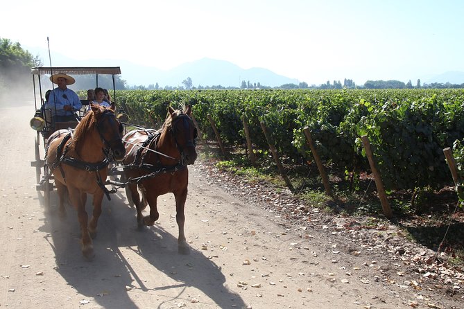 Viu Manent and Montes Alpha, Colchagua Valley From Santiago - Transportation and Logistics