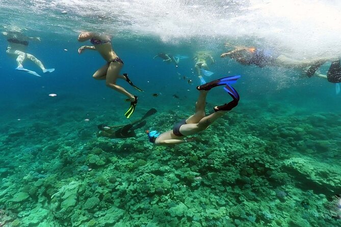 Viva Egypt Hurghada Hula Hula Island & Lunch & Water Sports 3*1 - Additional Information