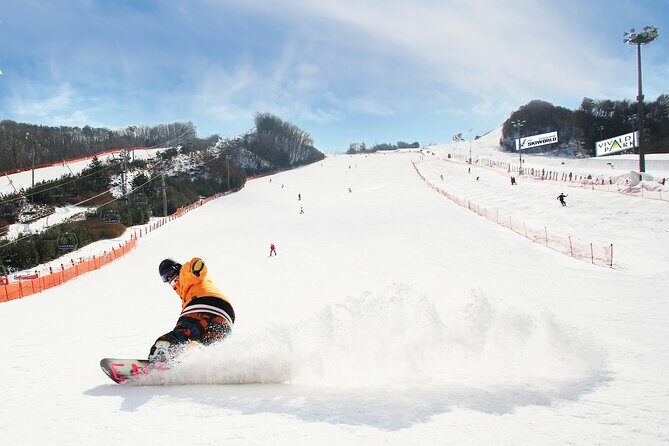 Vivaldi Park Winter Ski with Eobi Ice Valley Day Tour from Seoul - Key Points