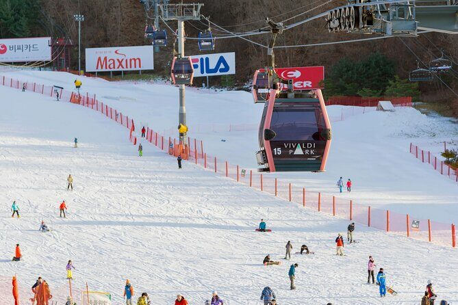Vivaldi Park Winter Ski with Eobi Ice Valley Day Tour from Seoul - Why This Tour Works for You