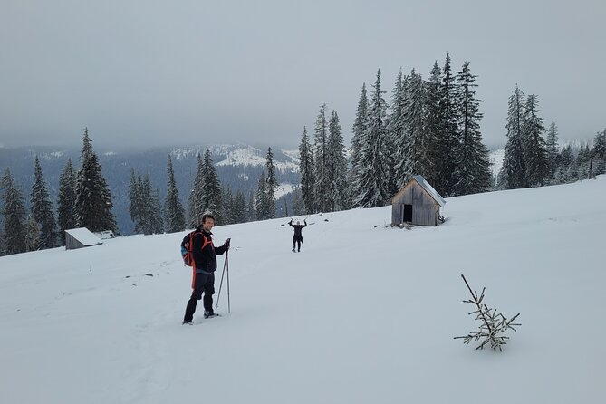 Vladeasa Peak and Brides Waterfall Day Hike - Traveler Feedback