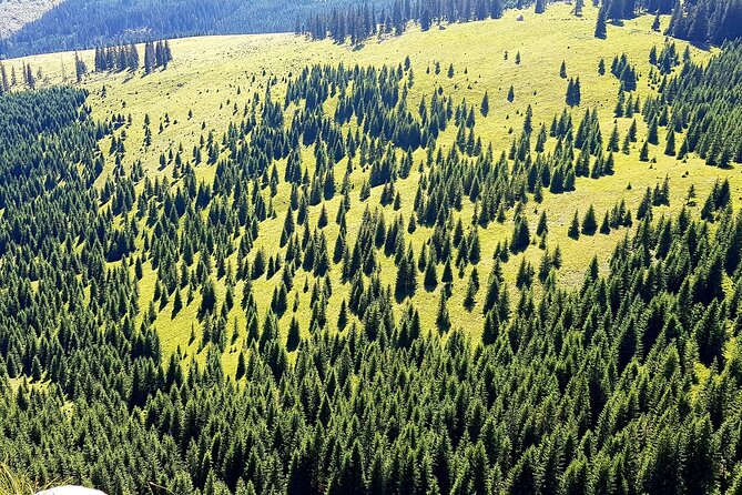 Vladeasa Peak and Brides Waterfall Day Hike - Local Culture and Nature