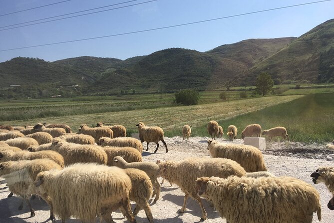 Vlores Outdoor Amantia Archeological Park & Brataj Bridge - Meeting and Pickup Details