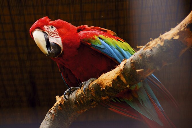 Vltava River Boat Trip and Zoo Entrance Ticket in Prague - Accessibility and Group Sizes